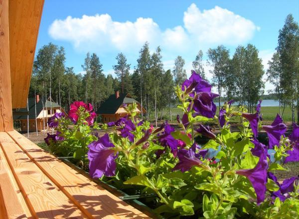 Holiday Complex Cirmas Ezerkrasts Ludza Phòng bức ảnh